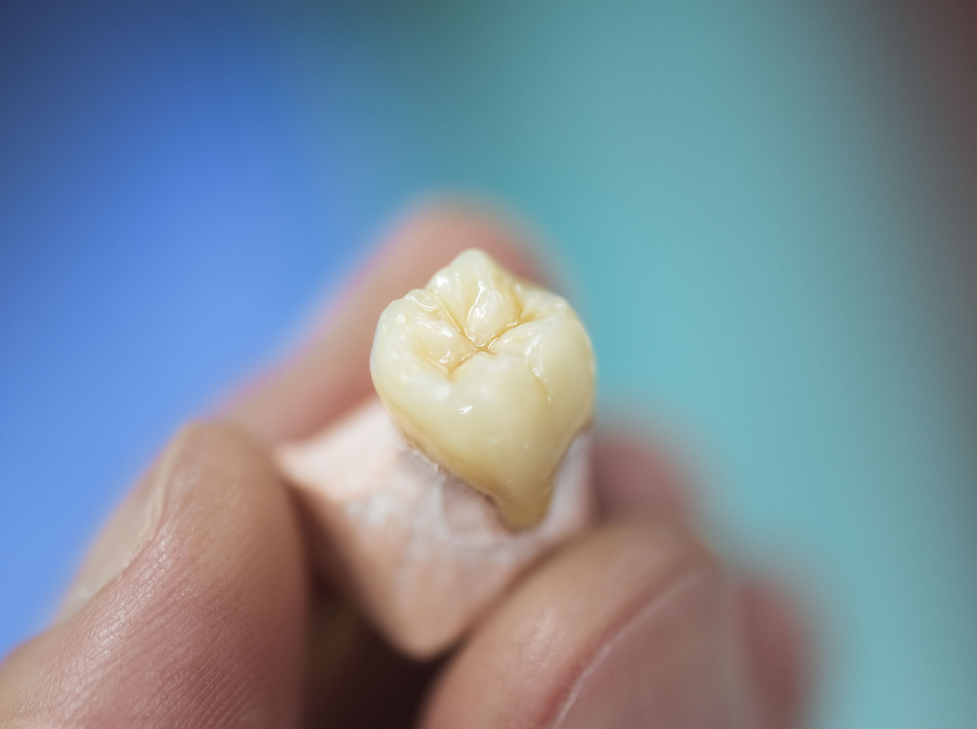 https://www.sivpdental.es/wp-content/uploads/2023/02/dental-prosthesis-2021-08-26-18-26-32-utc.jpg